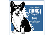 Corgi - vector template for t-shirt