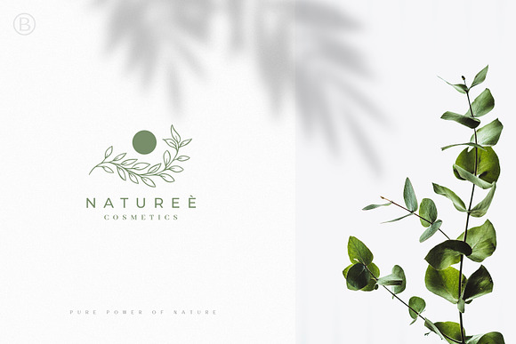 30 Hand Drawn Botanical Logos in Logo Templates - product preview 2