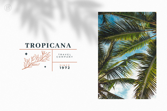30 Hand Drawn Botanical Logos in Logo Templates - product preview 5