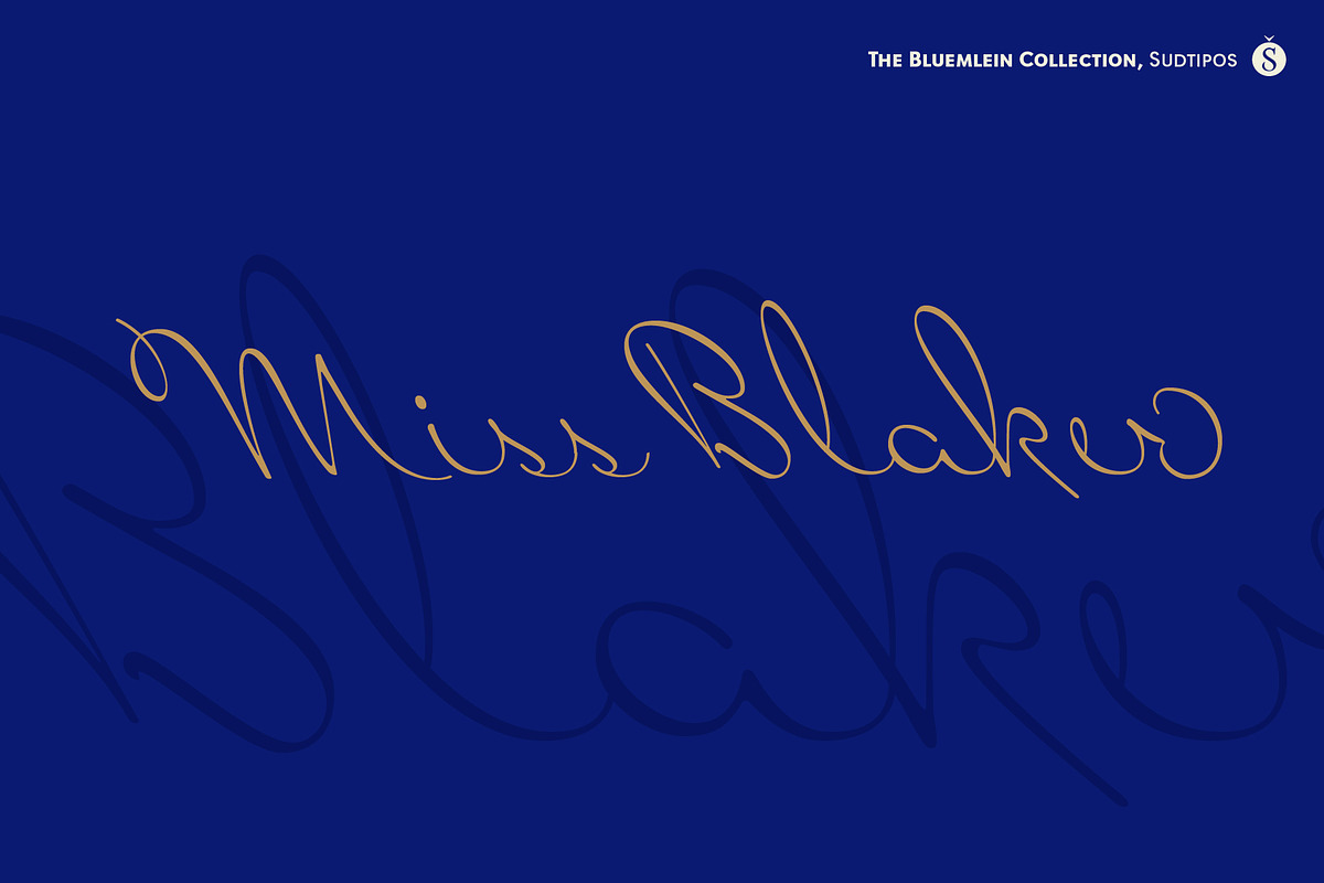 Miss Blaker Pro in Script Fonts - product preview 8