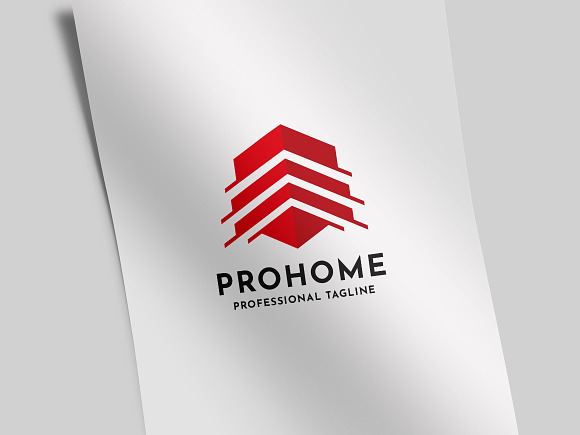 Professional Home Logo in Logo Templates - product preview 1
