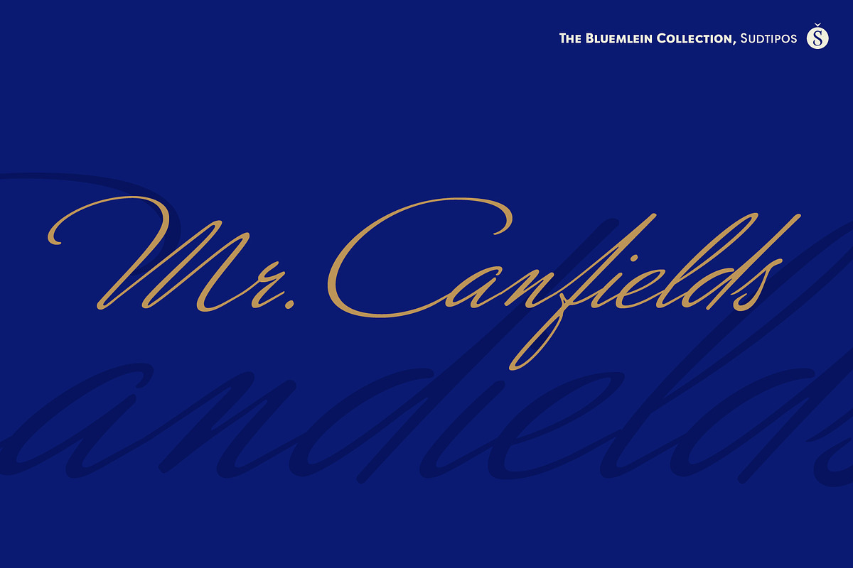 Mr Canfields Pro in Script Fonts - product preview 8