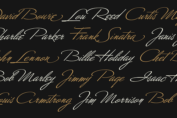 Mr Canfields Pro in Script Fonts - product preview 2