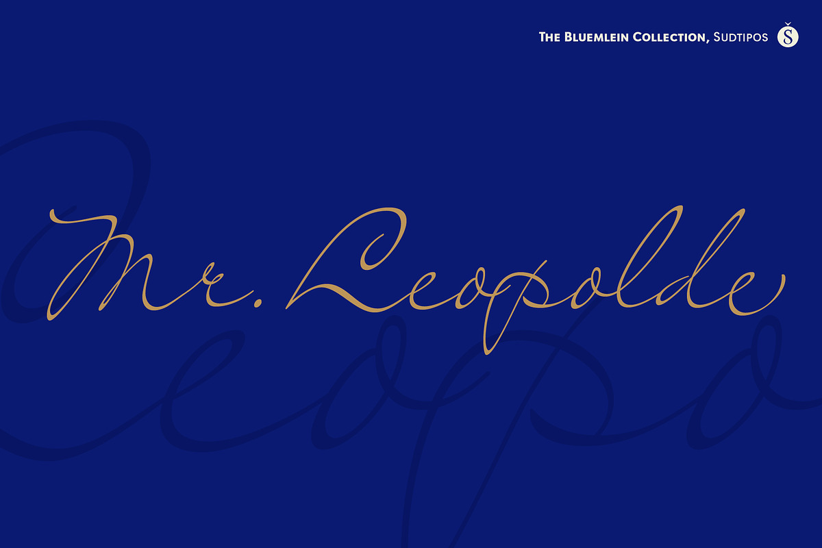 Mr Leopolde Pro in Script Fonts - product preview 8