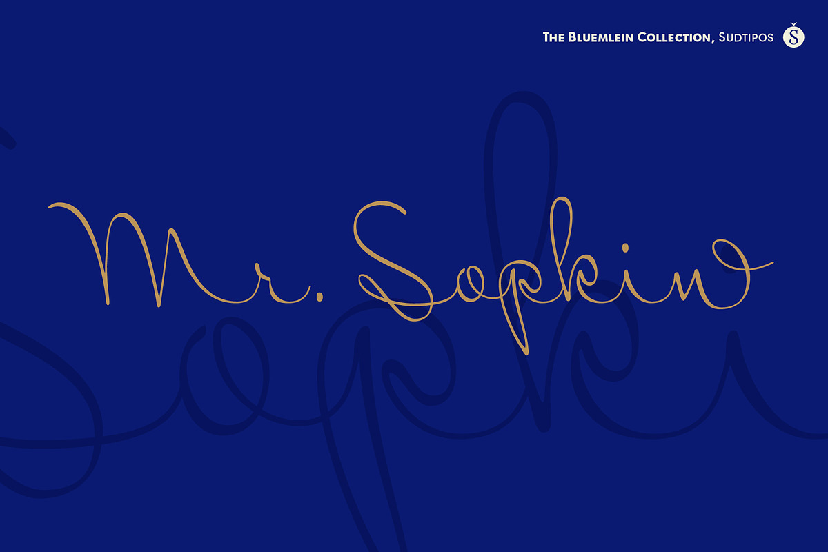 Mr SopkinPro in Script Fonts - product preview 8
