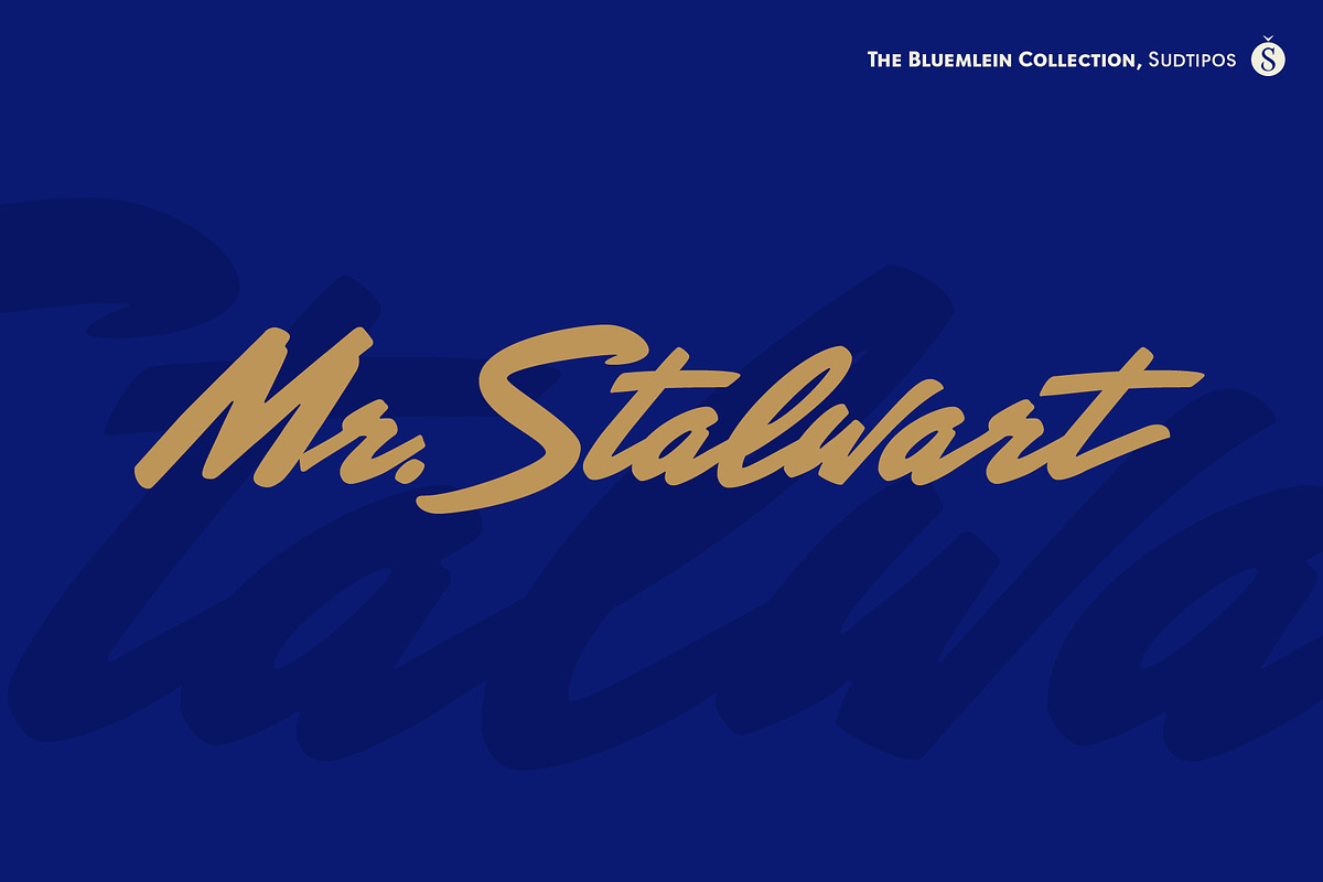 Mr Stalwart Pro in Script Fonts - product preview 8