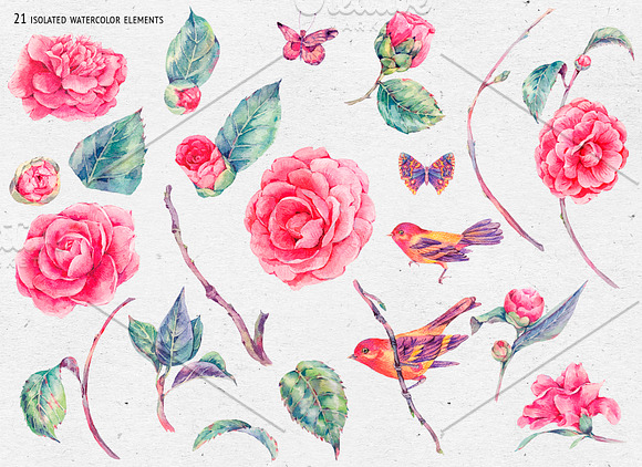 Watercolor Camellia Flower Clipart in Illustrations - product preview 1