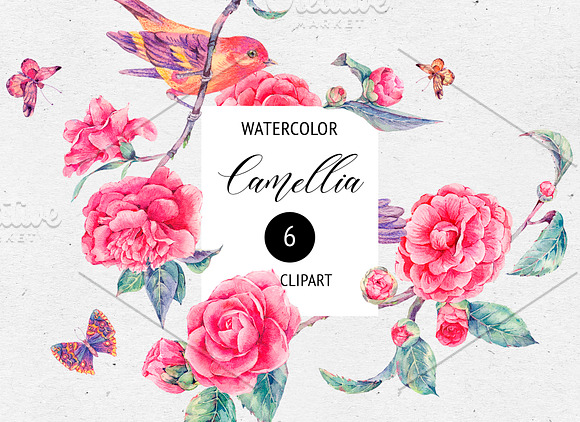 Watercolor Camellia Flower Clipart in Illustrations - product preview 4