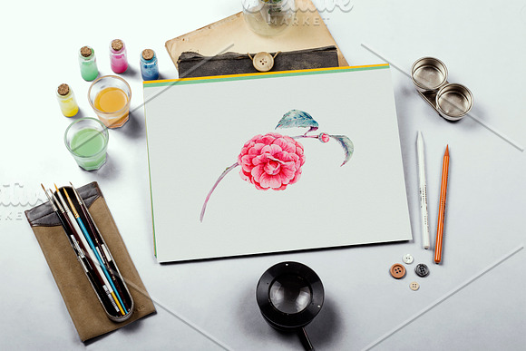 Watercolor Camellia Flower Clipart in Illustrations - product preview 11