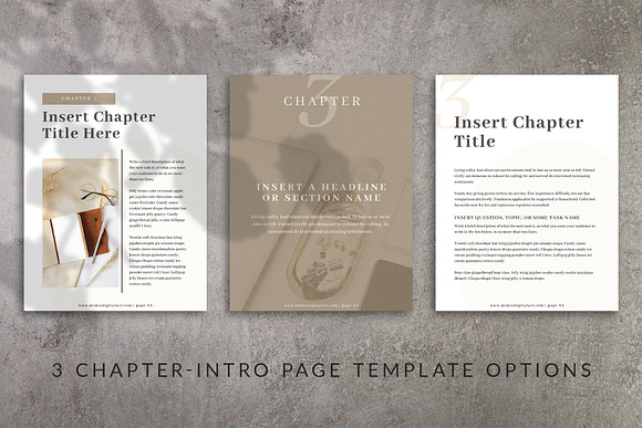 Workbook Canva Template | Mink in Magazine Templates - product preview 3