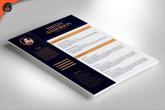 Art Deco 2 Page Resume Template in Resume Templates - product preview 2
