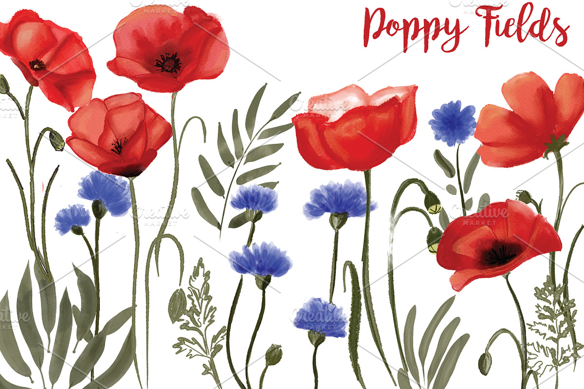 Poppy field watercolor illustrations in Illustrations - product preview 8