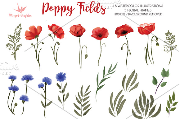 Poppy field watercolor illustrations in Illustrations - product preview 2