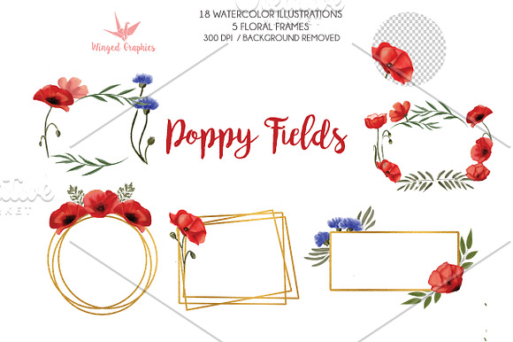 Poppy field watercolor illustrations in Illustrations - product preview 3