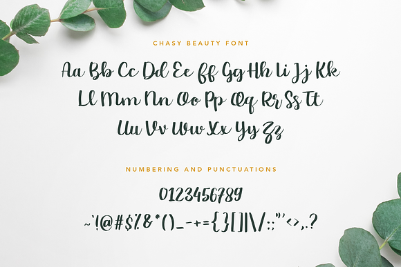 Chasy Beauty Font in Script Fonts - product preview 7
