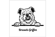 Brussels Griffon - Peeking Dogs -