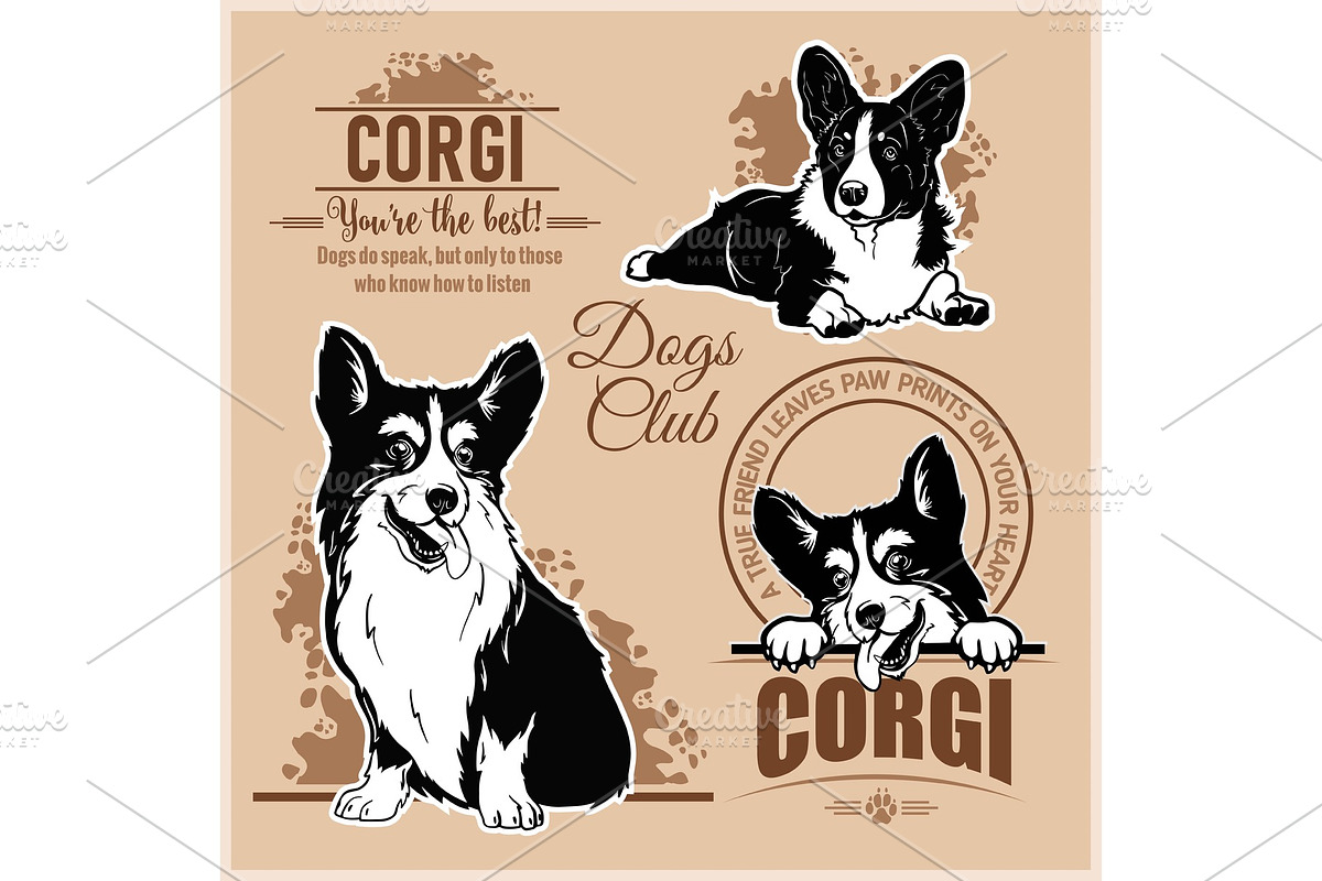 Corgi - vector set for t-shirt, logo in Illustrations - product preview 8