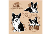 Corgi - vector set for t-shirt, logo