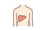 Healthy liver color icon