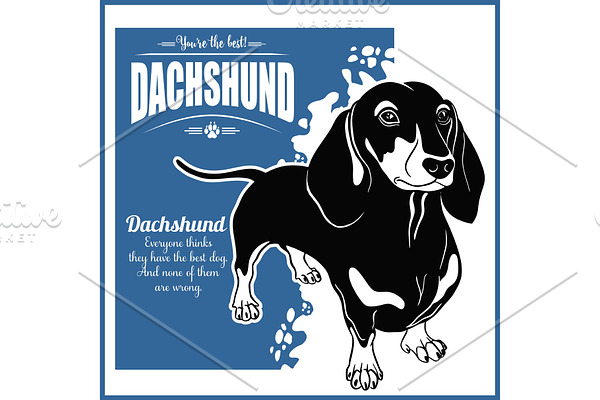 Dachshund - vector template for t