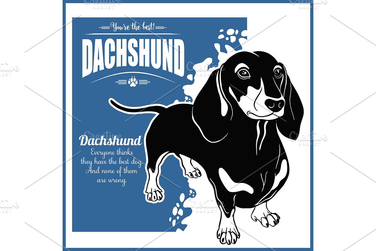 Dachshund - vector template for t in Illustrations - product preview 8
