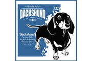 Dachshund - vector template for t
