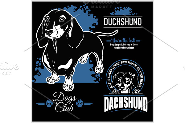 Dachshund - vector set for t-shirt