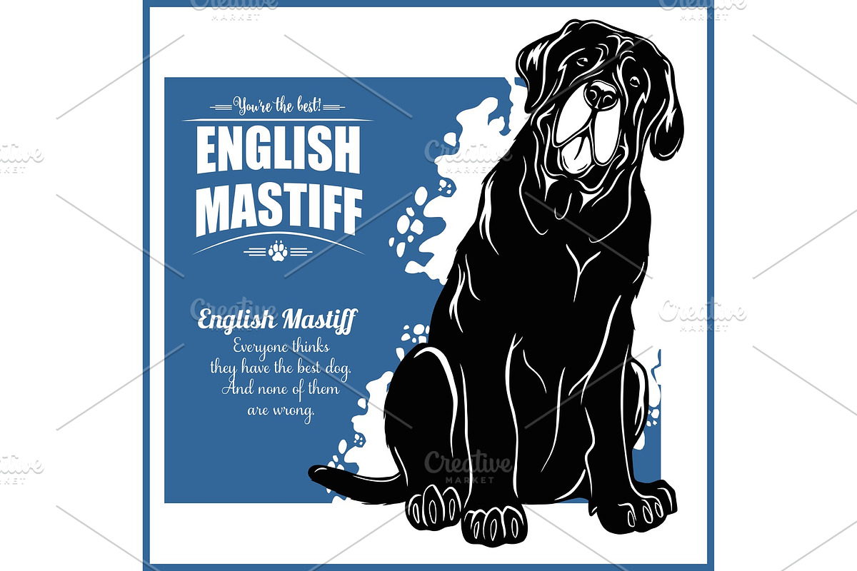 English Mastiff - vector template in Illustrations - product preview 8