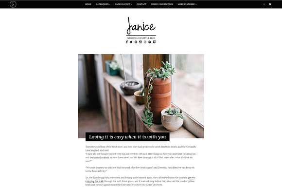 Janice- Fashion  WordPress Theme in WordPress Blog Themes - product preview 2