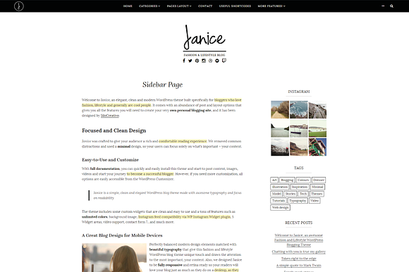 Janice- Fashion  WordPress Theme in WordPress Blog Themes - product preview 3