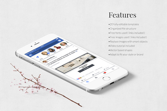 Interior Facebook Posts in Facebook Templates - product preview 2
