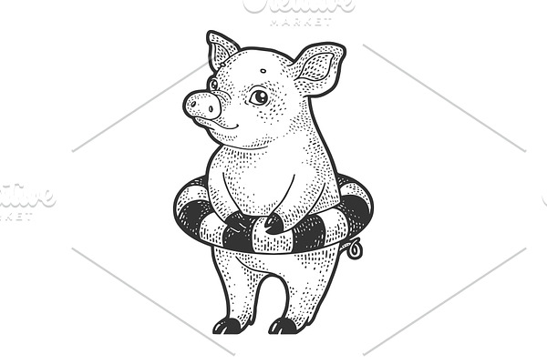 Piggy with rubber ring sketch vector
