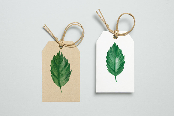 Foliage watercolor clipart in Illustrations - product preview 6
