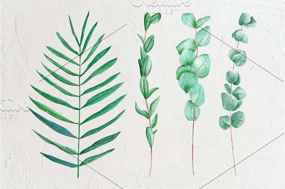 Foliage watercolor clipart in Illustrations - product preview 8