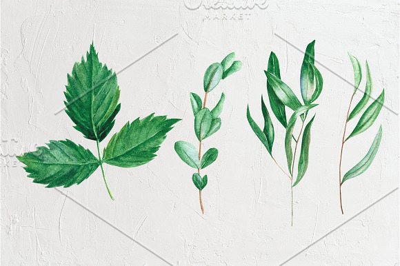 Foliage watercolor clipart in Illustrations - product preview 9
