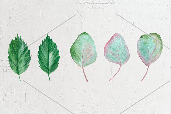 Foliage watercolor clipart in Illustrations - product preview 10