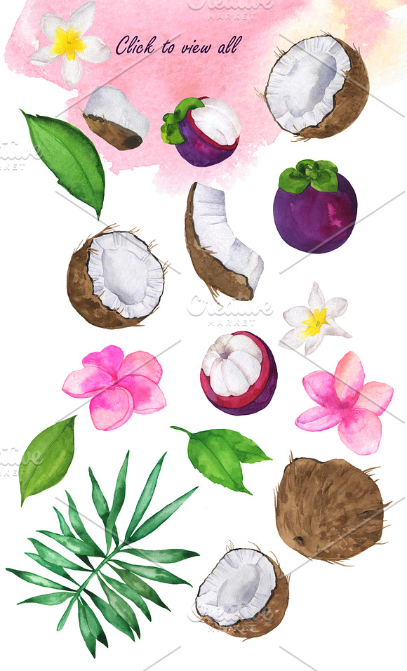 Tropical fruit set in Illustrations - product preview 2