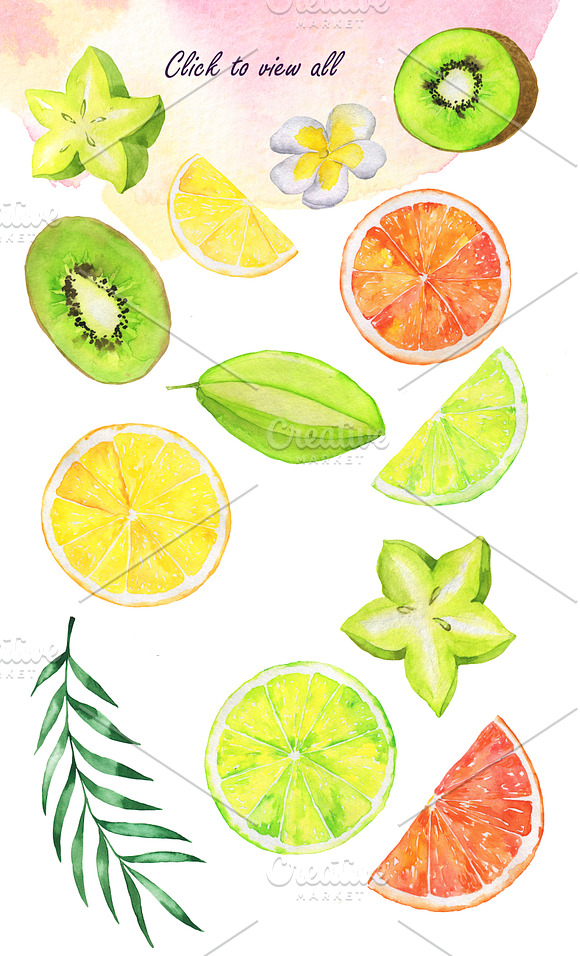 Tropical fruit set in Illustrations - product preview 3
