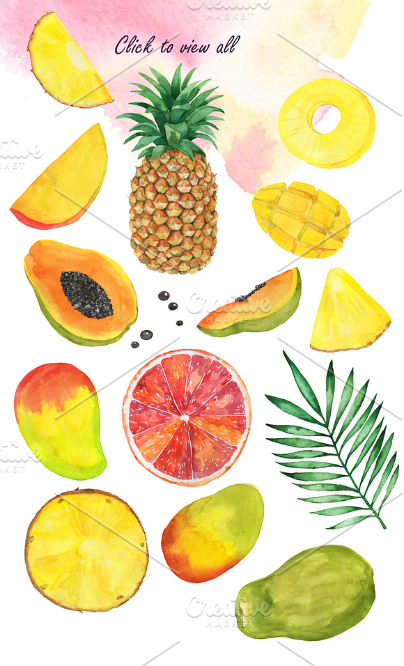 Tropical fruit set in Illustrations - product preview 4