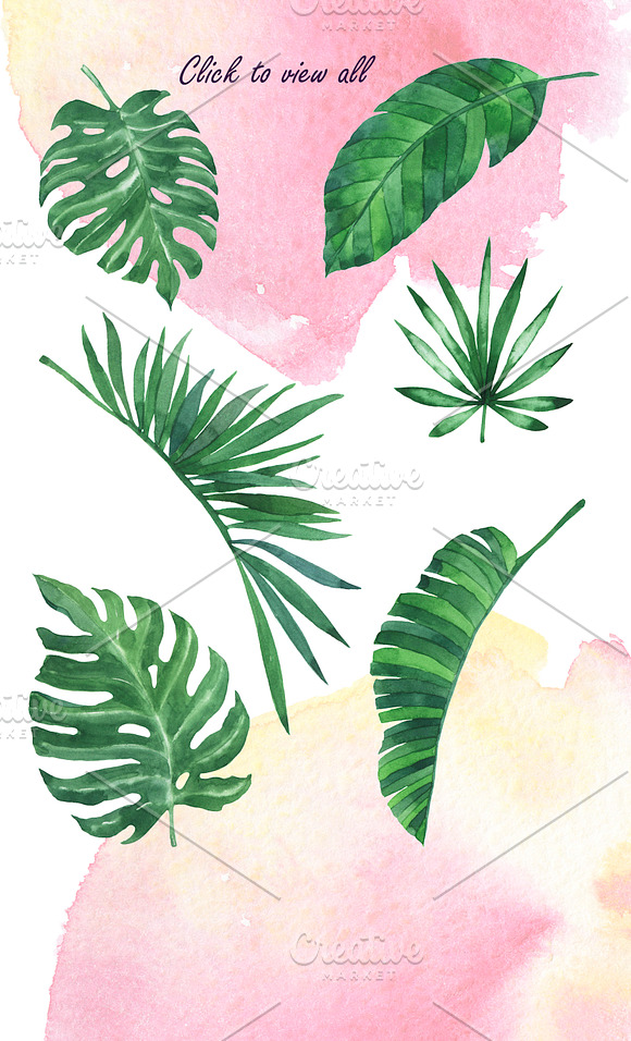 Tropical fruit set in Illustrations - product preview 5