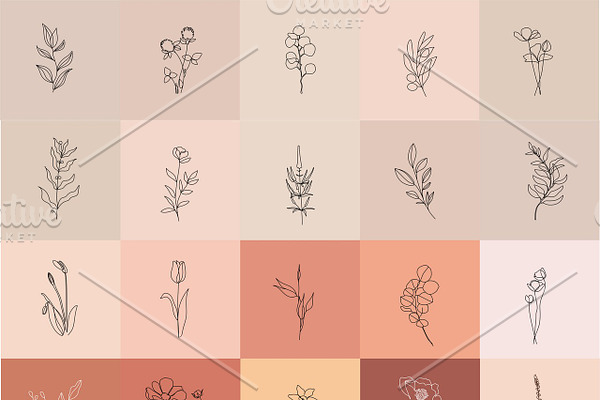 Minimalist Botanical Line Drawings