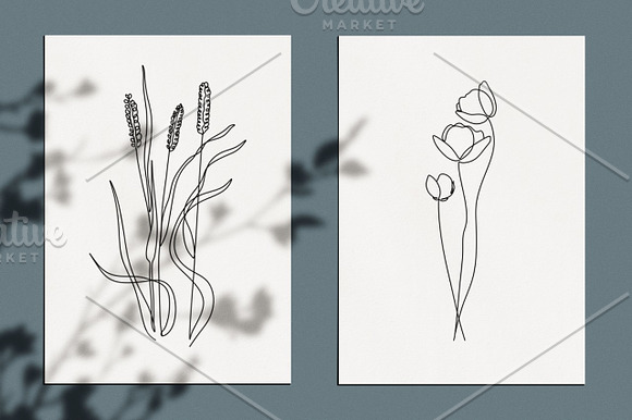 Minimalist Botanical Line Drawings in Illustrations - product preview 5