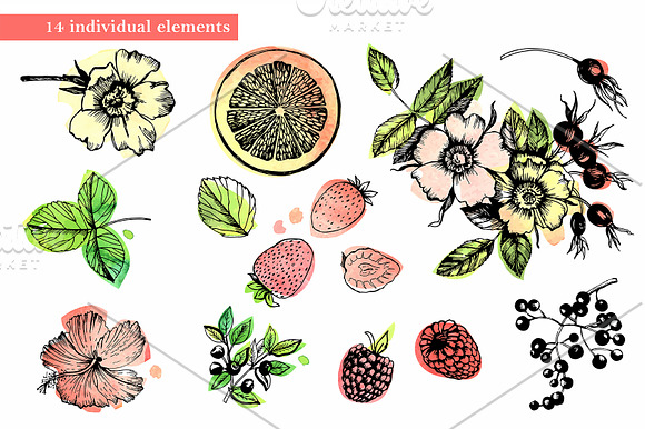 Fruit Tea hand drawn illustration in Illustrations - product preview 1