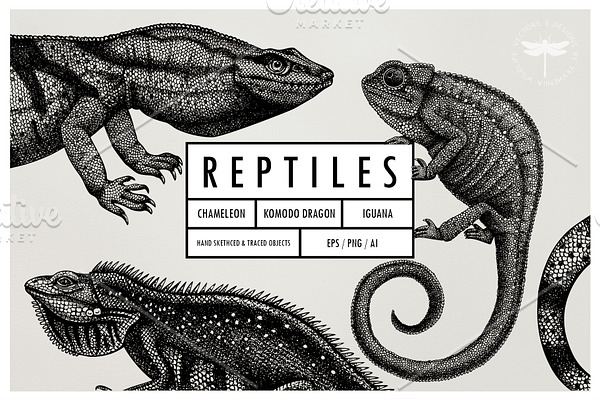 Vintage Reptiles - Vectors Set