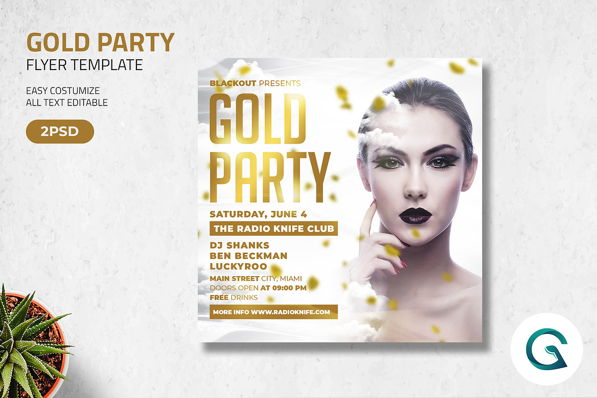 Gold Party Flyer Template in Flyer Templates - product preview 8