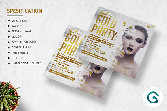 Gold Party Flyer Template in Flyer Templates - product preview 2