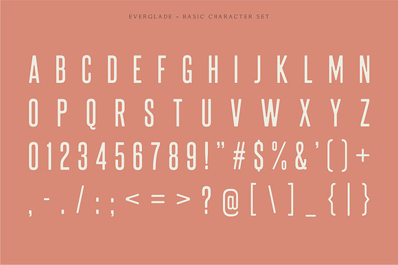 La Rosa – Elegant Unique Serif Font in Serif Fonts - product preview 4