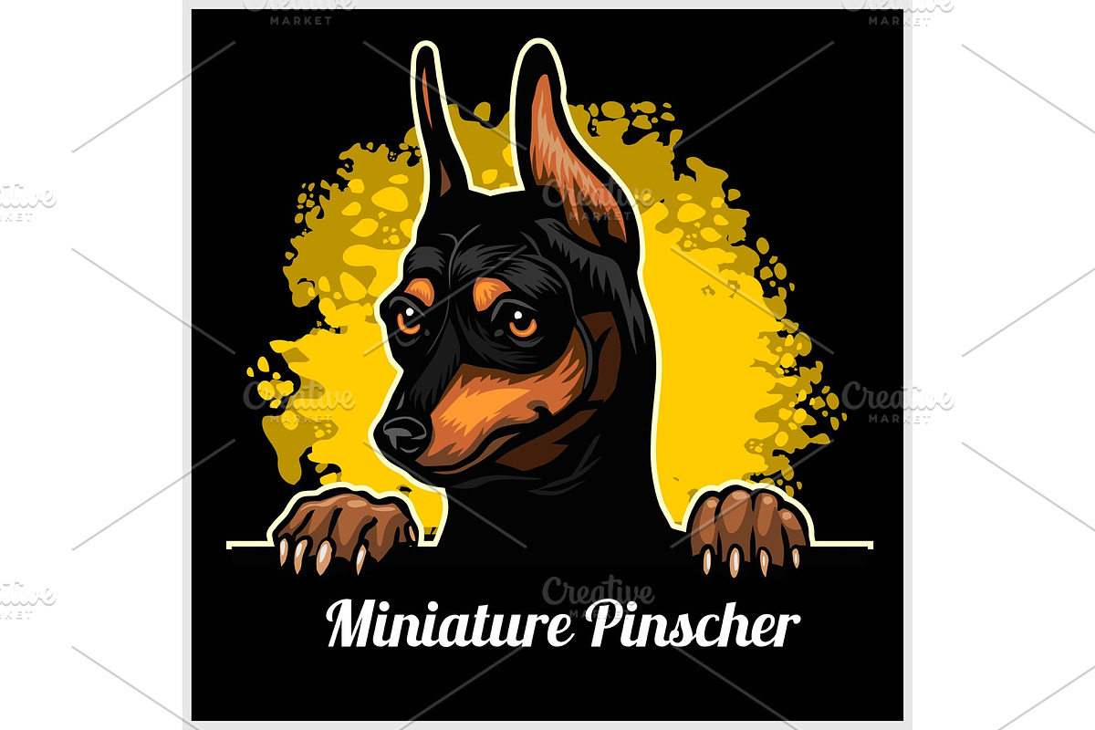 Color dog head, Miniature Pinscher in Illustrations - product preview 8