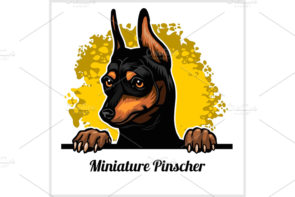 Color dog head, Miniature Pinscher in Illustrations - product preview 8