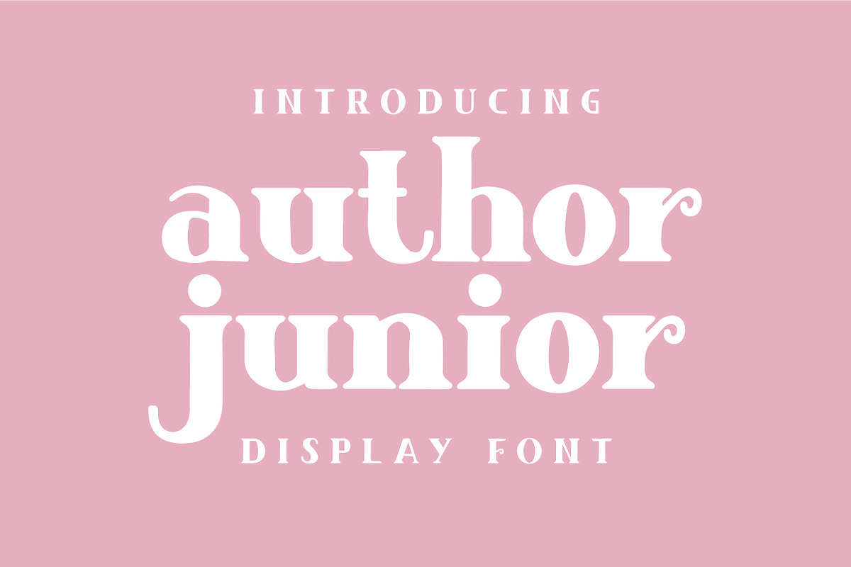 Author Junior in Display Fonts - product preview 8
